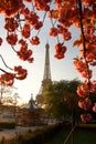 Eiffel Tower in spring, Paris, France Royalty Free Stock Photo