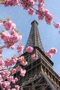 Eiffel Tower in spring, Paris, France Royalty Free Stock Photo