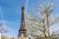 Eiffel Tower in spring, Paris, France Royalty Free Stock Photo