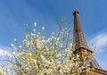 Eiffel Tower in spring, Paris, France Royalty Free Stock Photo