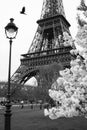 Eiffel Tower with spring park, Paris, France Royalty Free Stock Photo