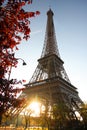 Eiffel Tower with spring park, Paris, France Royalty Free Stock Photo