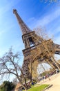 Eiffel tower in spring