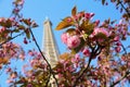 Eiffel Tower in spring time, Paris Royalty Free Stock Photo