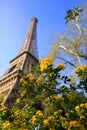 Eiffel Tower in spring time, Paris Royalty Free Stock Photo