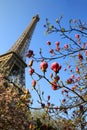 Eiffel Tower in spring time, Paris Royalty Free Stock Photo