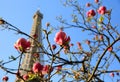 Eiffel Tower in spring time, Paris Royalty Free Stock Photo