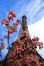 Eiffel Tower in spring time, Paris, France. Royalty Free Stock Photo