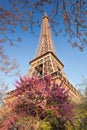 Eiffel Tower during spring time in Paris, France Royalty Free Stock Photo