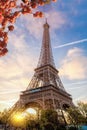 Eiffel Tower during spring time in Paris, France Royalty Free Stock Photo