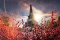 Eiffel Tower during spring time in Paris, France Royalty Free Stock Photo