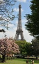 By the Eiffel Tower in spring time