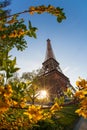 Eiffel Tower with spring tree in Paris, France Royalty Free Stock Photo