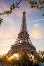 Eiffel Tower with spring tree in Paris, France Royalty Free Stock Photo