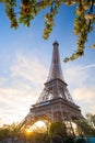 Eiffel Tower with spring tree in Paris, France Royalty Free Stock Photo