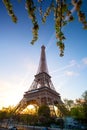 Eiffel Tower with spring tree in Paris, France Royalty Free Stock Photo