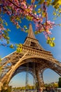 Eiffel Tower with spring tree in Paris, France Royalty Free Stock Photo