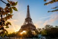 Eiffel Tower with spring tree in Paris, France Royalty Free Stock Photo