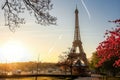 Eiffel Tower with spring tree in Paris, France Royalty Free Stock Photo