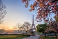 Eiffel Tower with spring trees in Paris, France Royalty Free Stock Photo