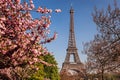 Eiffel Tower with spring trees in Paris, France Royalty Free Stock Photo