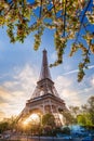 Eiffel Tower with spring trees in Paris, France Royalty Free Stock Photo