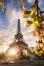 Eiffel Tower with spring trees in Paris, France Royalty Free Stock Photo