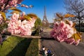 Eiffel Tower with spring trees in Paris, France Royalty Free Stock Photo