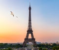 Eiffel tower in summer with flying birds, Paris, France. Scenic panorama of the Eiffel tower under the blue sky. View of the Royalty Free Stock Photo