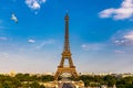 Eiffel tower in summer with flying birds, Paris, France. Scenic panorama of the Eiffel tower under the blue sky. View of the Royalty Free Stock Photo