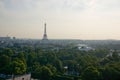 Eiffel tower with trees