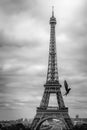 Eiffel tower from Trocadero with pigeon flying, Paris, France