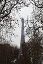 The Eiffel tower, view from Champ de Mars, Paris Royalty Free Stock Photo