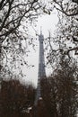 The Eiffel tower, view from Champ de Mars, Paris Royalty Free Stock Photo
