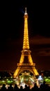 Eiffle Tower in light at night Royalty Free Stock Photo