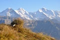 Eiger-Monch-Jungfrau Royalty Free Stock Photo