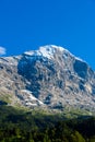 Eiger north wall - view to Eiger from Grindelwald in  in the Bernese Alps in Switzerland - travel destination in Europe Royalty Free Stock Photo