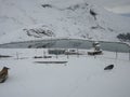 Eigergletscher (Eiger Station). Jungfraujoch. Royalty Free Stock Photo