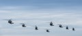 Eight Black Hawk helicopters Royalty Free Stock Photo