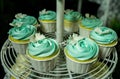 Eight blue Cupcakes on cakestand