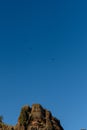 Eight California Condors Soar on Blue Sky