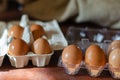 Eight chicken eggs in different trays on the table Royalty Free Stock Photo