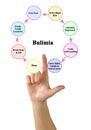 Components of Bulimia Cycle