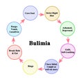 Components of Bulimia Cycle