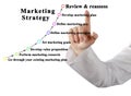 Components of Marketing Strategy