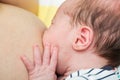 Eight days old newborn baby girl during breastfeeding Royalty Free Stock Photo