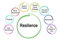 Eight drivers of Resilience