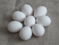 Eight eggs on a canvas background Royalty Free Stock Photo