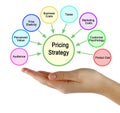 Factors Influencing Pricing Strategy