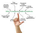 Features of B2B e-Commerce Platform Royalty Free Stock Photo